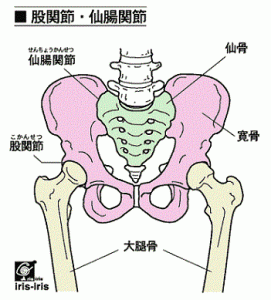 股関節や足の付け根の痛み