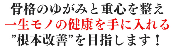 骨格のゆがみと重心を整え、一生モノの健康を手に入れる根本改善を目指します!